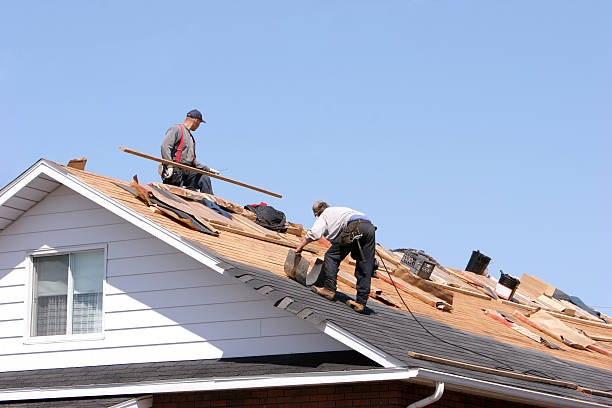 Best Metal Roofing Installation  in Mila Doce, TX